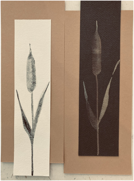 Cattails IFN