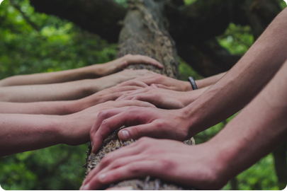 Community